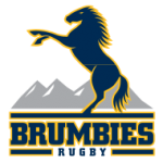 Brumbies Logo