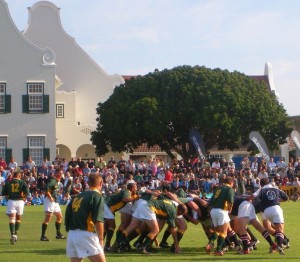 grey high school pe rugby festival