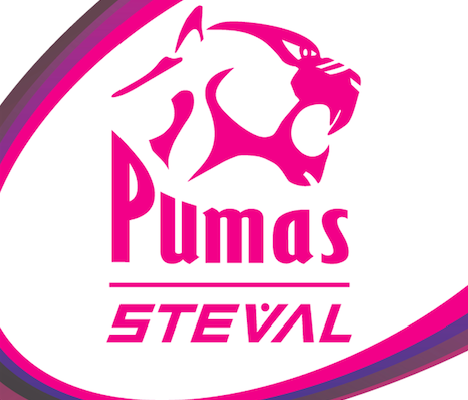 pumas rugby logo