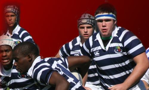 Wynberg Boys High rugby